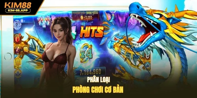 Phân loại phòng chơi cơ bản