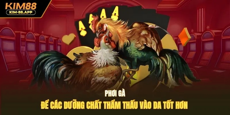 Phơi gà để các dưỡng chất thẩm thấu vào da tốt hơn