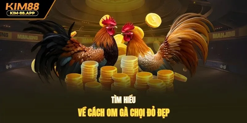 Tìm hiểu về cách om gà chọi đỏ đẹp