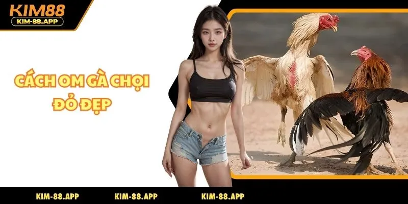 cách om gà chọi đỏ đẹp
