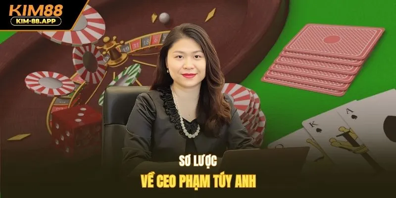 Sơ lược về CEO Phạm Túy Anh