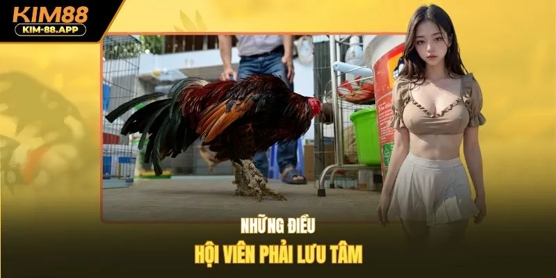 Những điều hội viên phải lưu tâm