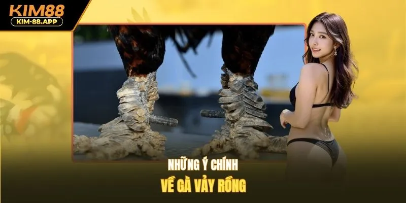 Những ý chính về gà vảy rồng