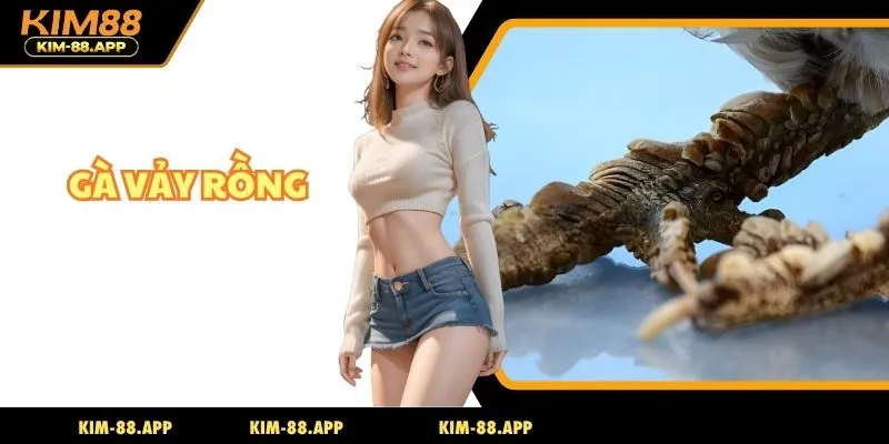 gà vảy rồng