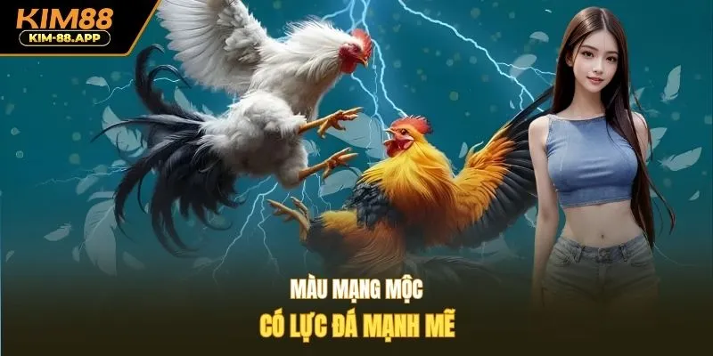 Màu mạng Mộc có lực đá mạnh mẽ