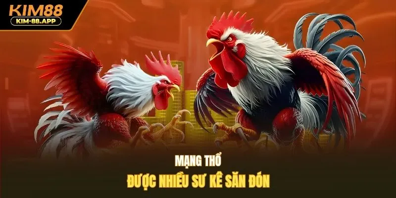 Mạng Thổ được nhiều sư kê săn đón