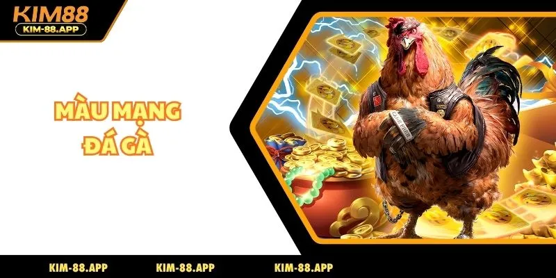 màu mạng đá gà