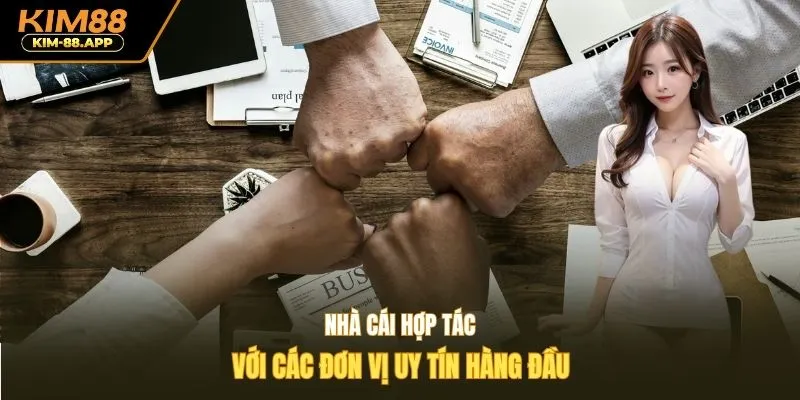 Nhà cái hợp tác với các đơn vị uy tín hàng đầu